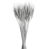Depot Trockenblumen-Bundel Ahren> Einzelblumen & Zweige
