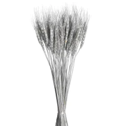 Depot Trockenblumen-Bundel Ahren> Einzelblumen & Zweige