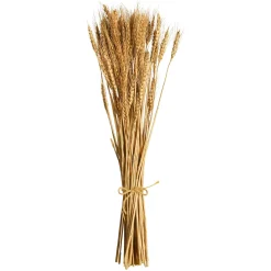 Depot Trockenblumen-Bundel Ahren> Einzelblumen & Zweige