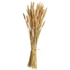 Depot Trockenblumen-Bundel Ahren> Einzelblumen & Zweige