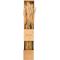 Depot Trockenblumen-Bundel Ahren> Einzelblumen & Zweige