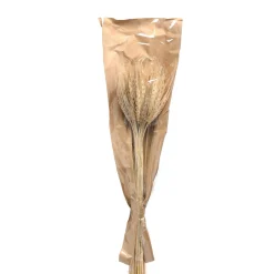 Depot Trockenblumen-Bundel Ahren> Einzelblumen & Zweige