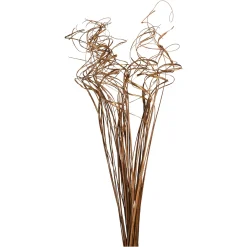 Depot Trockenblumen-Bundel Curly> Einzelblumen & Zweige