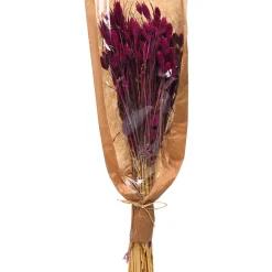 Depot Trockenblumen-Bundel Phalaris> Einzelblumen & Zweige