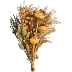 Depot Trockenblumenstraus Dried Flowers> Blumensträuße