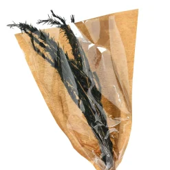 Depot Trockenblumen-Zweig Rosmarin> Einzelblumen & Zweige