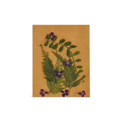 Depot Geschenk-Deko^Trockenbluten Bluten & Blatter-Mix, Gepresst