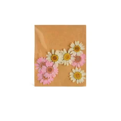 Depot Geschenk-Deko^Trockenbluten Margaritenmix, Gepresst