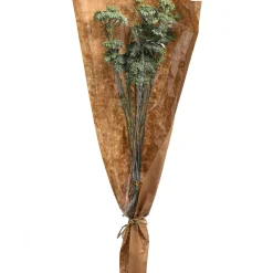 Depot Trockenbundel Achillea><noscript><img width=