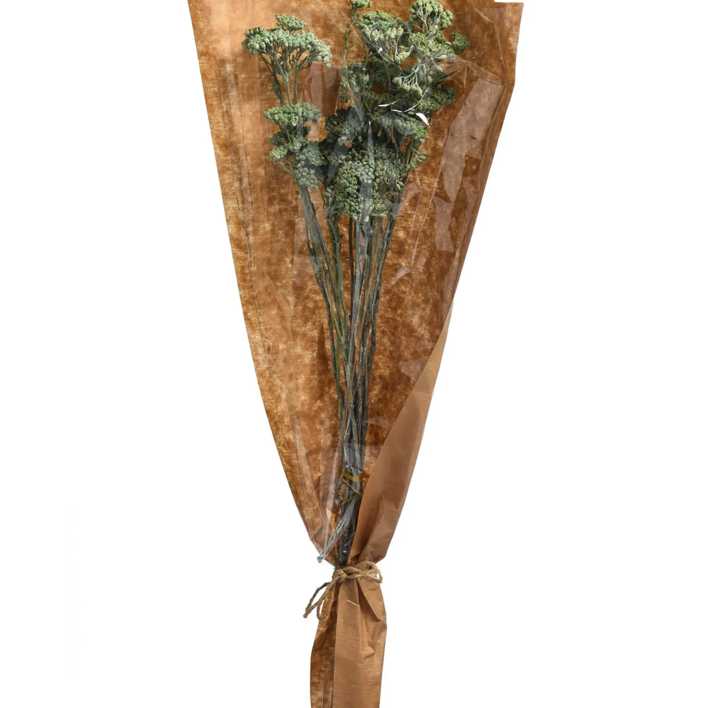 Depot Trockenbundel Achillea> Einzelblumen & Zweige