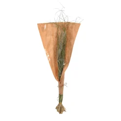 Depot Trockenbundel Gras> Einzelblumen & Zweige