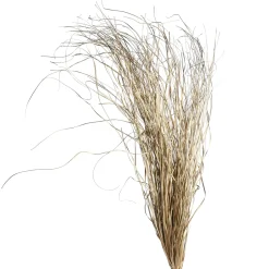 Depot Trockenbundel Gras Metallic> Einzelblumen & Zweige