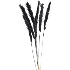 Depot Trockenbundel Pampasgras> Einzelblumen & Zweige