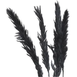 Depot Trockenbundel Pampasgras> Einzelblumen & Zweige