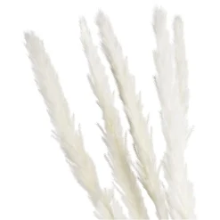 Depot Trockenbundel Pampasgras> Einzelblumen & Zweige