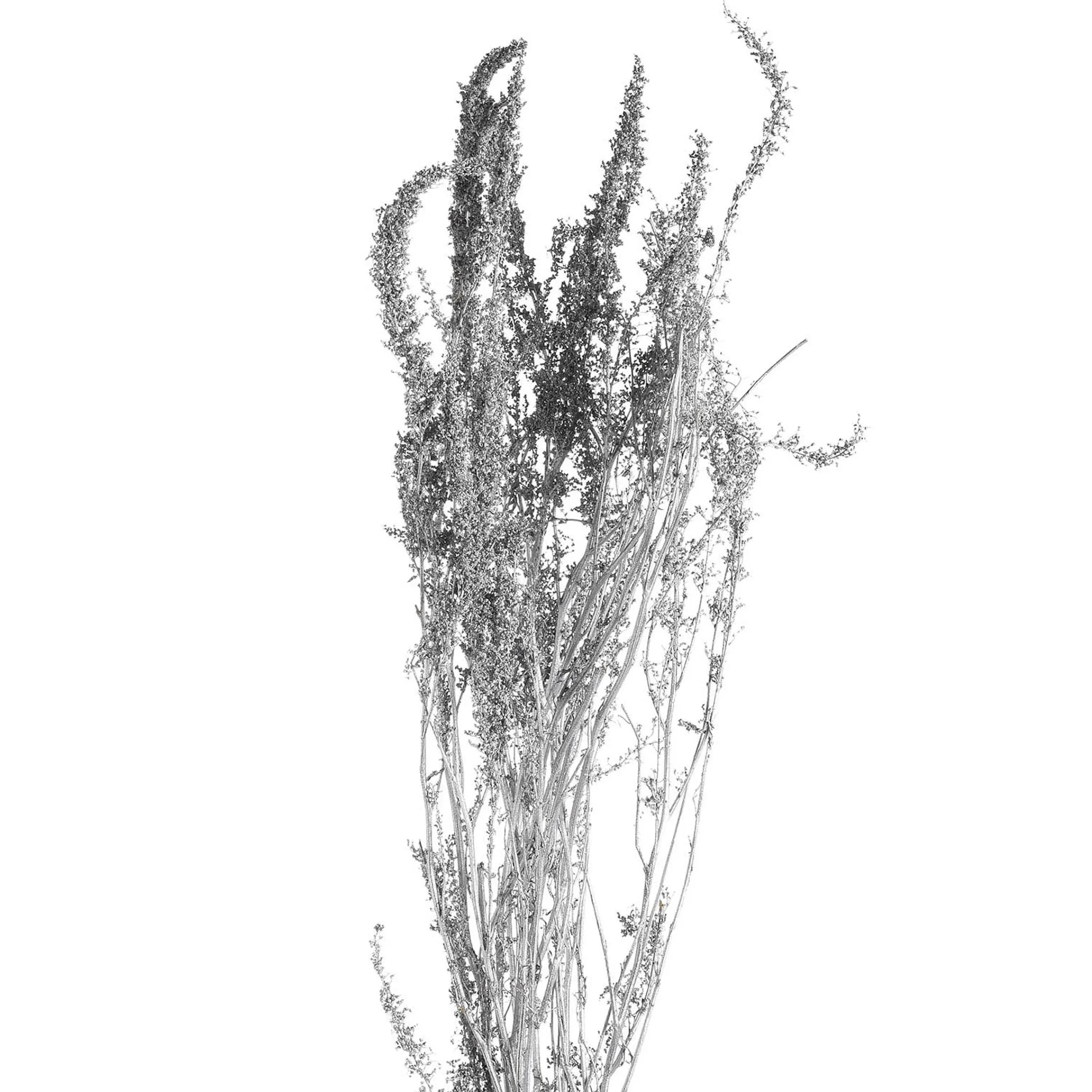 Depot Adventskranz-Deko^Trockenbundel Zweig