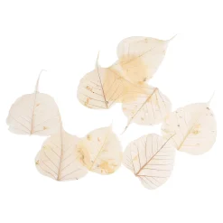 Depot Geschenkideen^Trocken-Skelettblatter