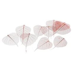 Depot Geschenkideen^Trocken-Skelettblatter