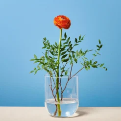 Depot Vase Bernadette> Vasen