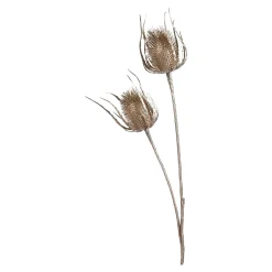 Depot Adventskranz-Deko^Zweig Distel Ca. 81Cm