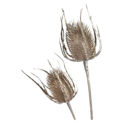 Depot Adventskranz-Deko^Zweig Distel Ca. 81Cm