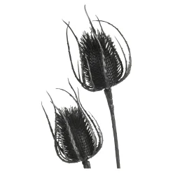 Depot Adventskranz-Deko^Zweig Distel Ca. 81Cm