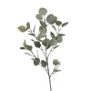 Depot Zweig Eukalyptus Ca.73Cm> Einzelblumen & Zweige