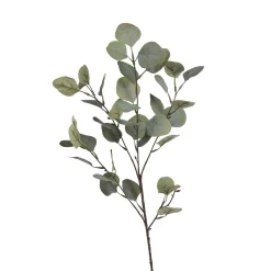 Depot Zweig Eukalyptus Ca.73Cm> Einzelblumen & Zweige