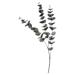 Depot Adventskranz-Deko^Zweig Eukalyptus Ca.100Cm