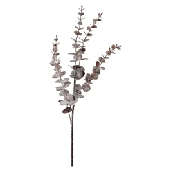 Depot Adventskranz-Deko^Zweig Eukalyptus Modern Ca.74Cm, Creme