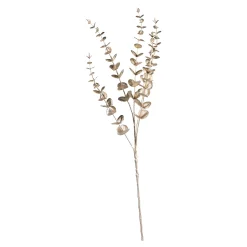 Depot Adventskranz-Deko^Zweig Eukalyptus Modern Ca.74Cm, Creme