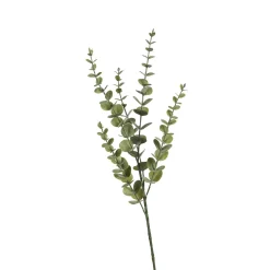 Depot Zweig Eukalyptus Modern Ca.74Cm, Creme> Einzelblumen & Zweige