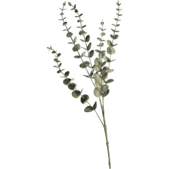 Depot Zweig Eukalyptus Modern Ca.74Cm, Creme> Einzelblumen & Zweige