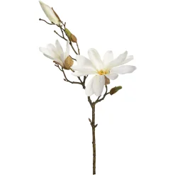 Depot Zweig Magnolie Ca.48Cm> Einzelblumen & Zweige