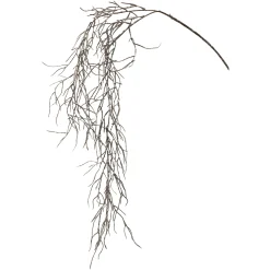 Depot Zweig Tillandsie Hangend Ca. 104Cm> Einzelblumen & Zweige