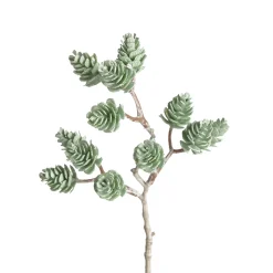 Depot Adventskranz-Deko^Zweig Zapfen